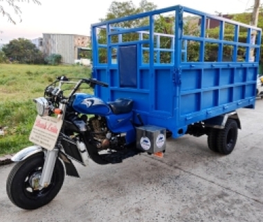 NHỮNG LƯU Ý KHI CHỌN XE BA BÁNH CHỞ HÀNG