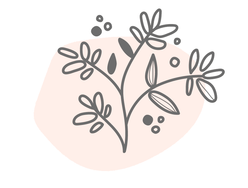 Hoa tươi 100%, nhập mới mỗi ngày